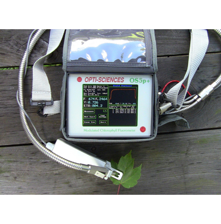 Portable Chlorophyll Fluorometer Portable Chlorophyll Fluorometer